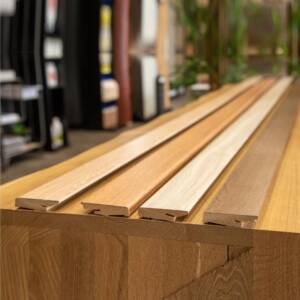 Медијапан лајсни