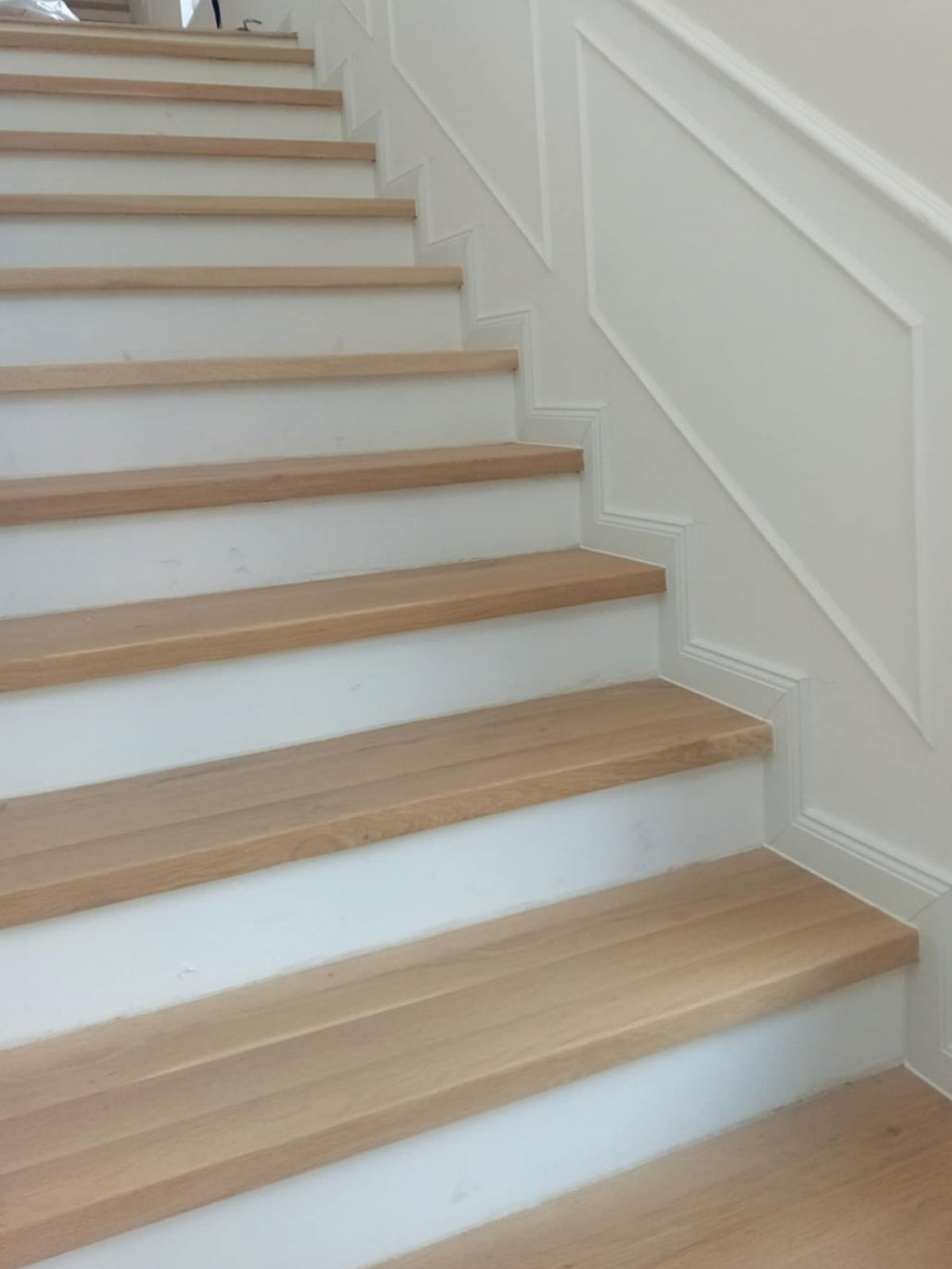 Проект Скопје